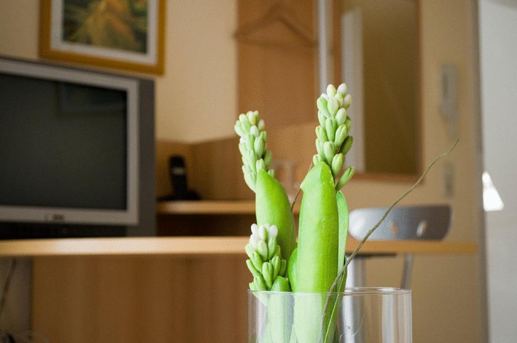 Hotel Hilgers Düren - Eifel Екстериор снимка