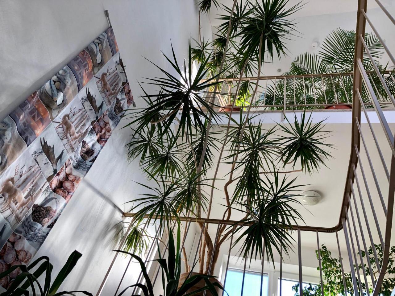 Hotel Hilgers Düren - Eifel Екстериор снимка
